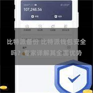 比特派备份 比特派钱包安全吗？专家详解其全面优势
