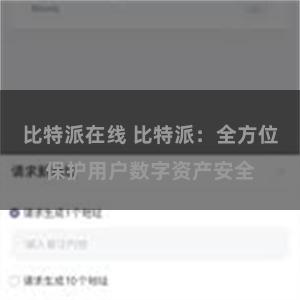 比特派在线 比特派：全方位保护用户数字资产安全