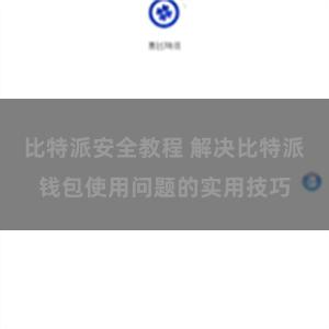 比特派安全教程 解决比特派钱包使用问题的实用技巧
