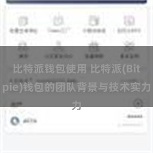 比特派钱包使用 比特派(Bitpie)钱包的团队背景与技术实力