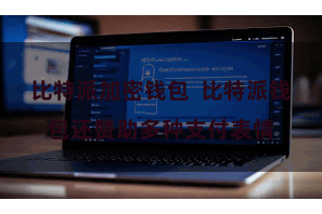 比特派加密钱包  比特派钱包还赞助多种支付表情