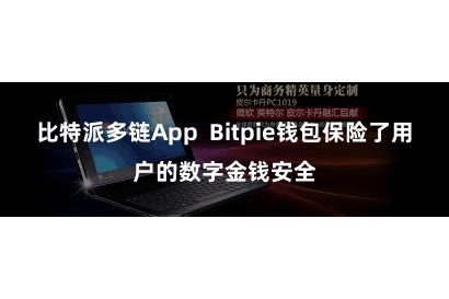 比特派多链App  Bitpie钱包保险了用户的数字金钱安全