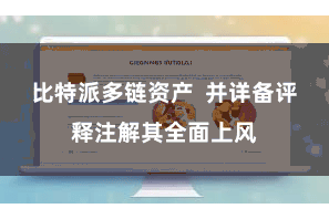 比特派多链资产 并详备评释注解其全面上风
