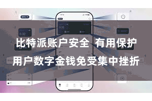 比特派账户安全  有用保护用户数字金钱免受集中挫折