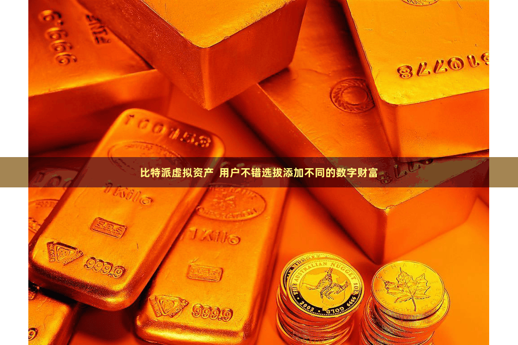 比特派虚拟资产  用户不错选拔添加不同的数字财富