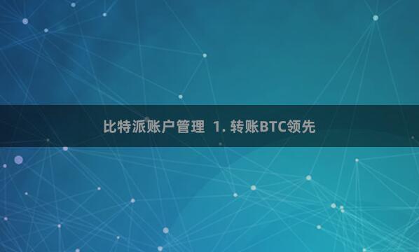比特派账户管理  1. 转账BTC领先